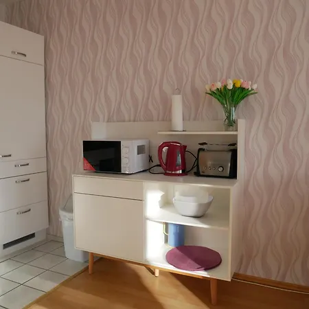 Hohegeiss-braunlage-apartment 374 アパート *
