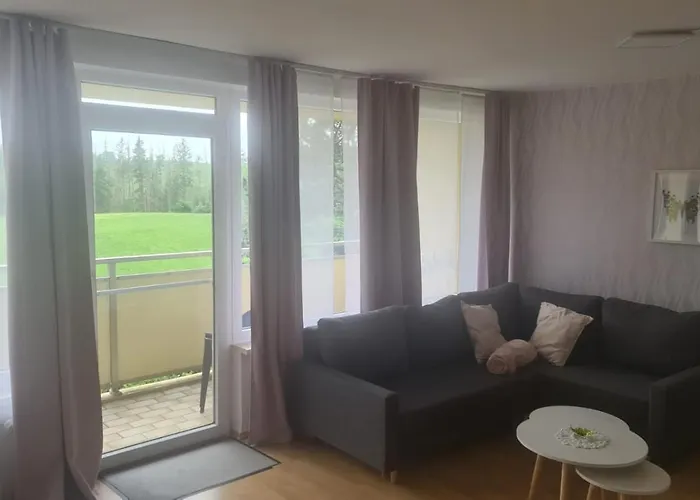 Hohegeiss-braunlage-apartment 374 *