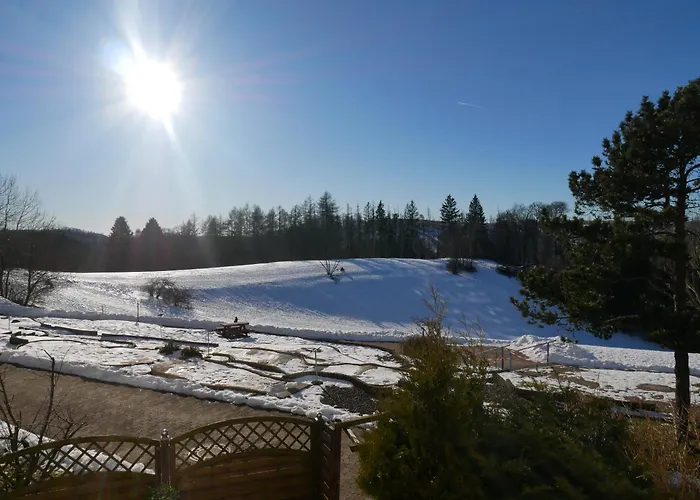 Hohegeiss-braunlage-apartment 374 Apartman