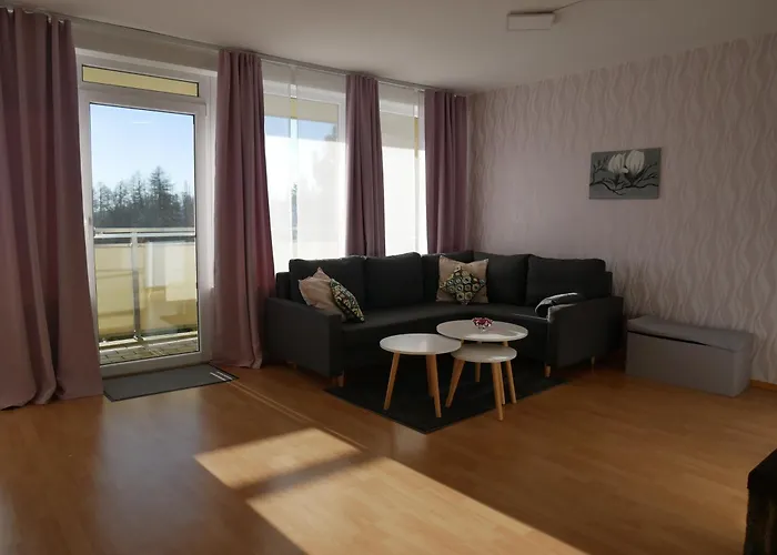 Hohegeiss-braunlage-apartment 374 公寓
